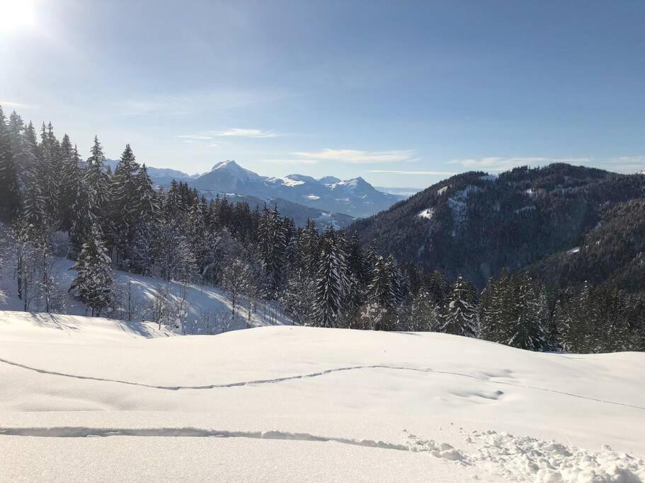 Saint-Jean-dʼAulps Appartement Cosy 3/4 Personnes A 5 Min Des Pistes. المظهر الخارجي الصورة