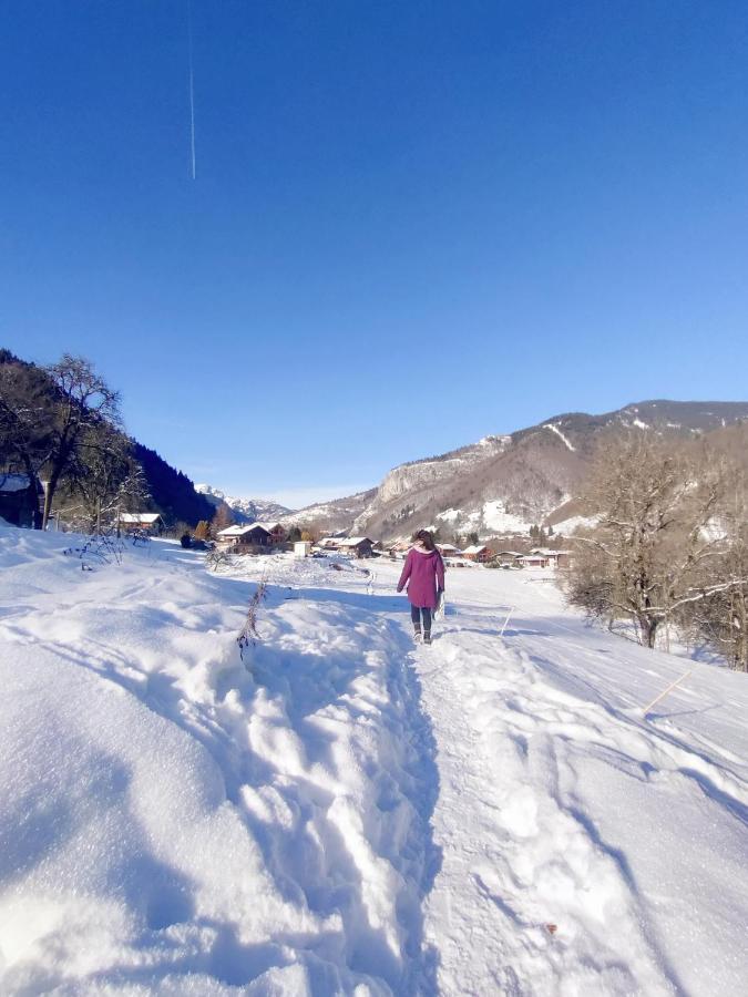 Saint-Jean-dʼAulps Appartement Cosy 3/4 Personnes A 5 Min Des Pistes. المظهر الخارجي الصورة